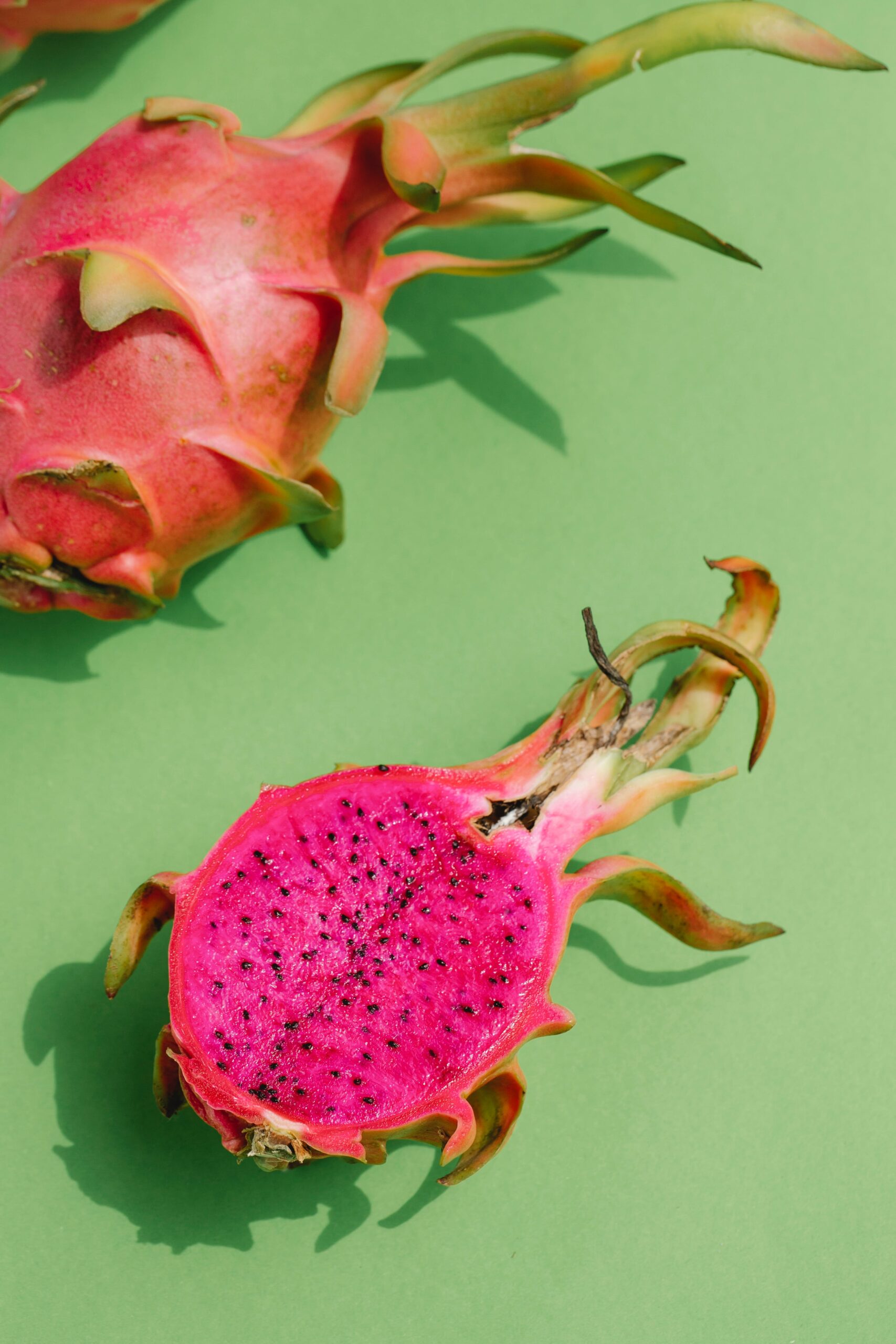 Dragon fruit plant(red)